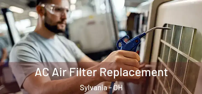  AC Air Filter Replacement Sylvania - OH