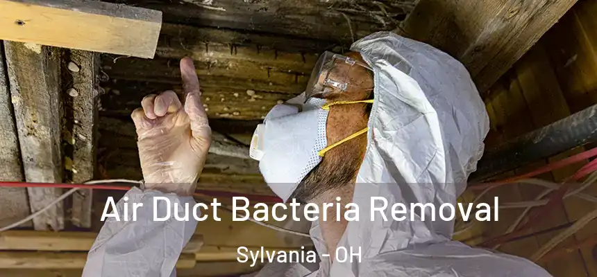 Air Duct Bacteria Removal Sylvania - OH