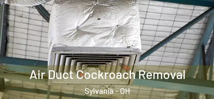  Air Duct Cockroach Removal Sylvania - OH
