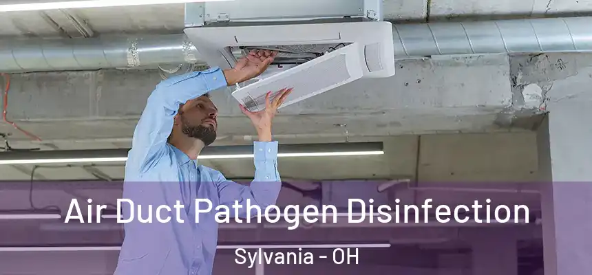 Air Duct Pathogen Disinfection Sylvania - OH