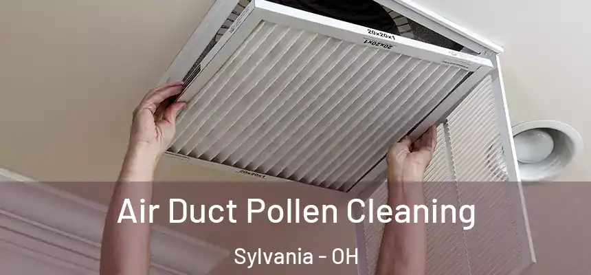 Air Duct Pollen Cleaning Sylvania - OH