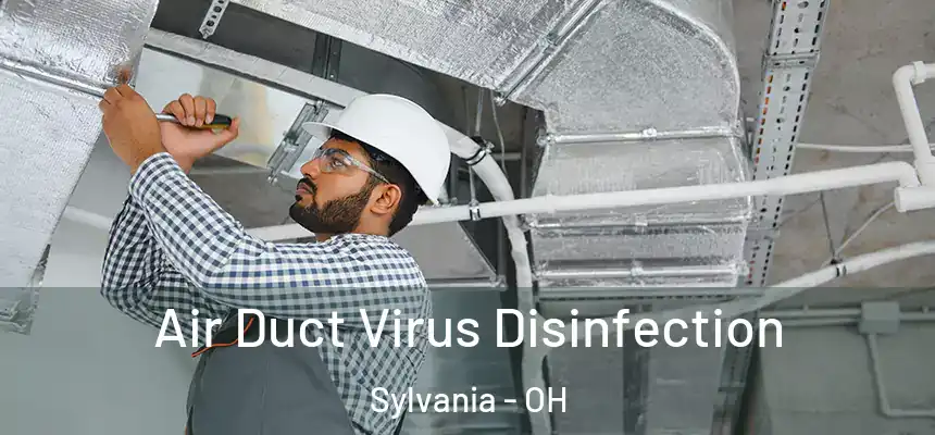 Air Duct Virus Disinfection Sylvania - OH