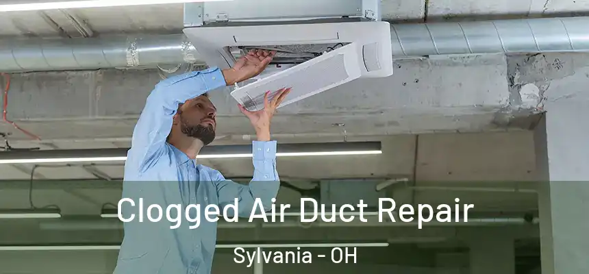 Clogged Air Duct Repair Sylvania - OH