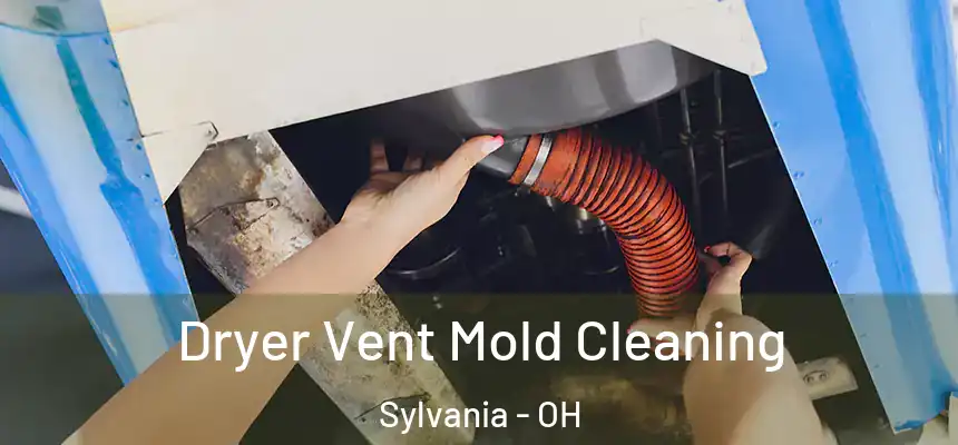  Dryer Vent Mold Cleaning Sylvania - OH