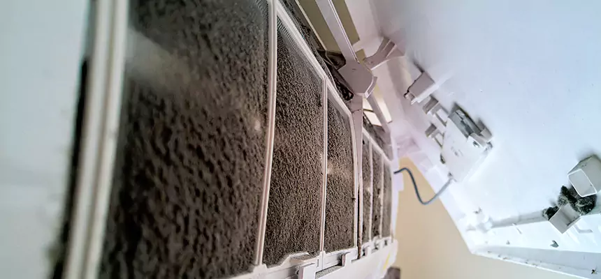 Preventive Air Duct Bacteria Removal in Sylvania