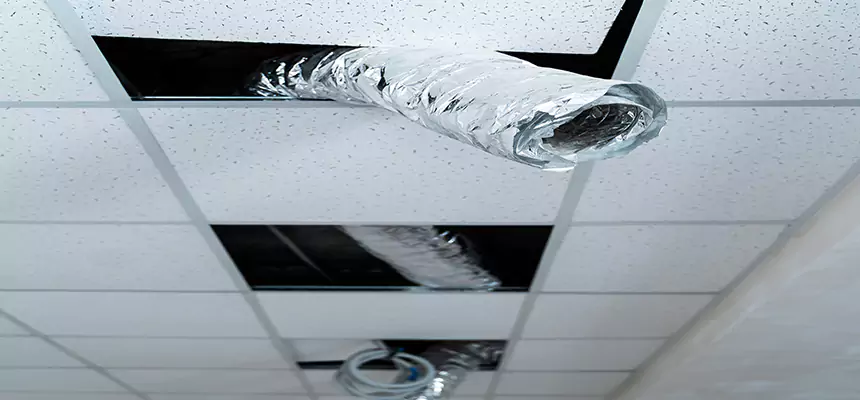 Our Air Duct Pet Hair Removal Services in Sylvania, OH