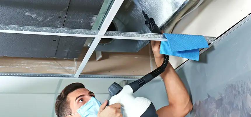 Our Air Duct Rodent Removal Services in Sylvania, OH