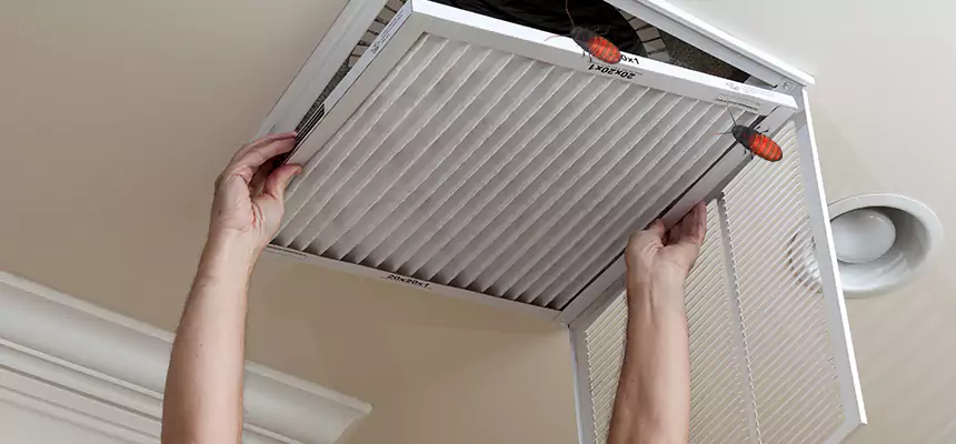 Our Insect Removal from Air Ducts Services in Sylvania, OH