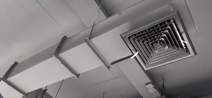 Our Pest Removal From Ducts Services in Sylvania, OH