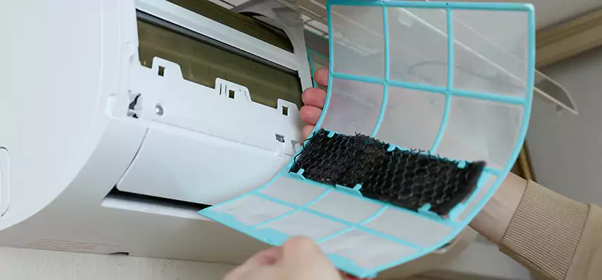 Gentle Ductwork Odor-Control Pet Dander Duct Cleaning in Sylvania, OH