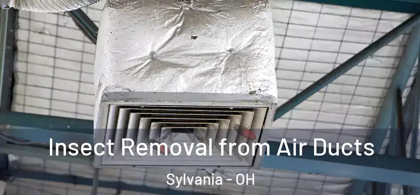 Insect Removal from Air Ducts Sylvania - OH