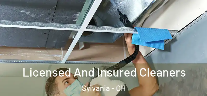 Licensed And Insured Cleaners Sylvania - OH