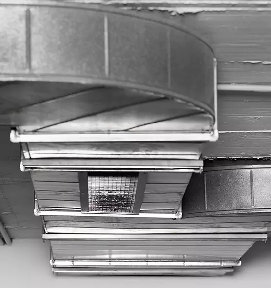 Professional Air Duct Pest Removal in Sylvania, OH