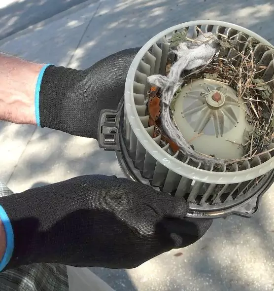 About Air Duct Rat Removal in Sylvania, OH