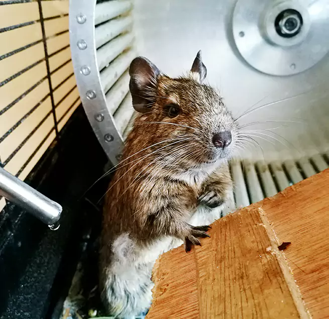 Why Homeowners & Businesses Trust Us Sylvania, OH?