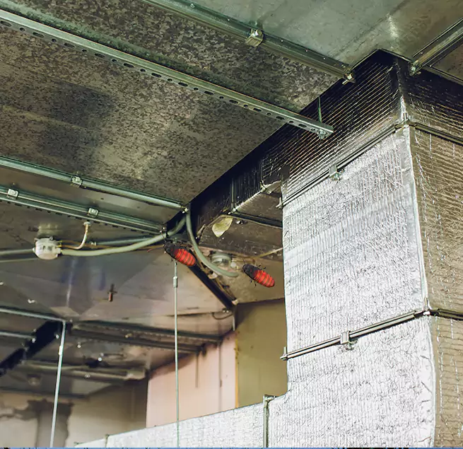 Why Homeowners & Businesses Trust Us Sylvania, OH?