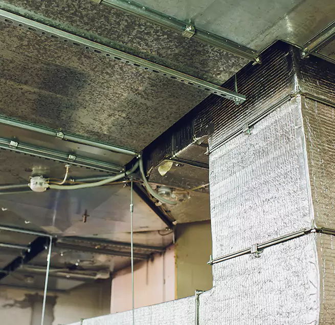 Why Homeowners & Businesses Trust Us in Sylvania, OH?